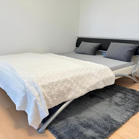Vk - R - Zuerich Airport - Luxury - Home Stay - Raetschengaessli - Kloten Kültér fotó